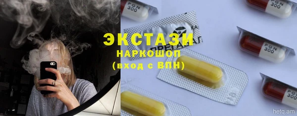 гашик Бородино