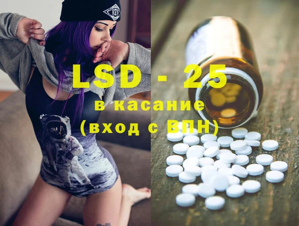 гашик Бородино