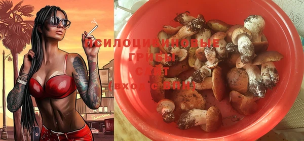 гашик Бородино
