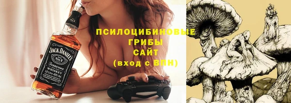 гашик Бородино