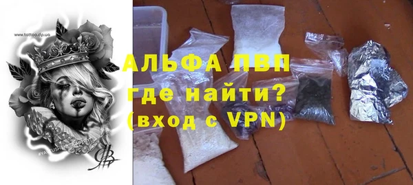гашик Бородино