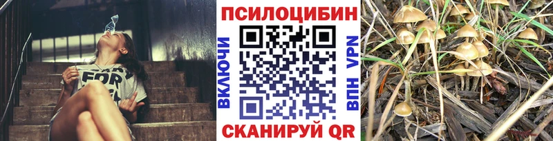 Галлюциногенные грибы Cubensis  Купить  Темников 